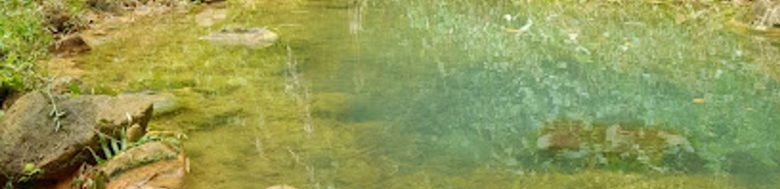 Clabony Sulphur Spring