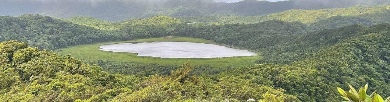 Grand Etang National Park