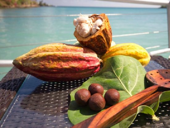 Grenada Chocolate Festival