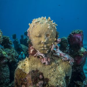 Underwater Sculptures