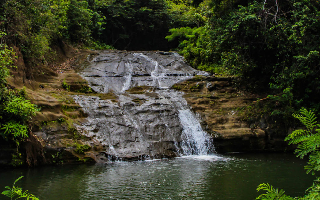 Mount Carmel Falls